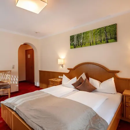 Garni Birkenhof 3* Майрхофен