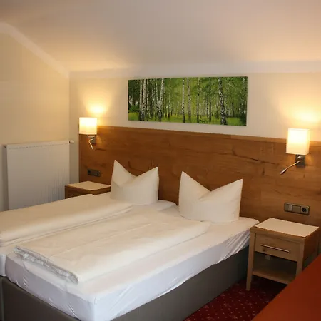 Garni Birkenhof 3* Майрхофен