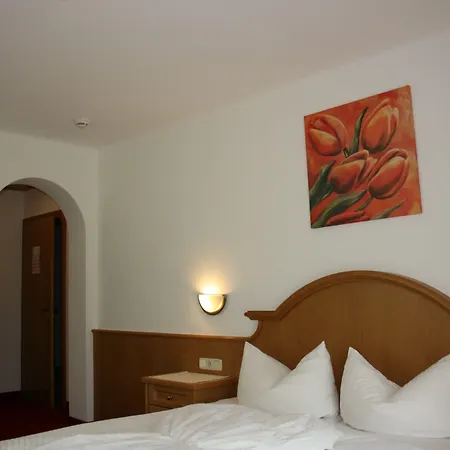 Otel Garni Birkenhof Mayrhofen