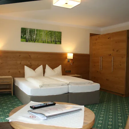 Garni Birkenhof 3* Майрхофен