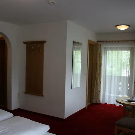 Garni Birkenhof 3* Майрхофен