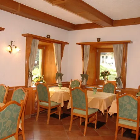 Garni Birkenhof 3* Майрхофен