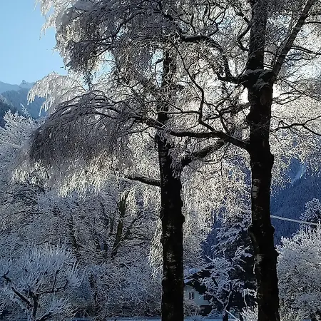 Garni Birkenhof Otel 3*