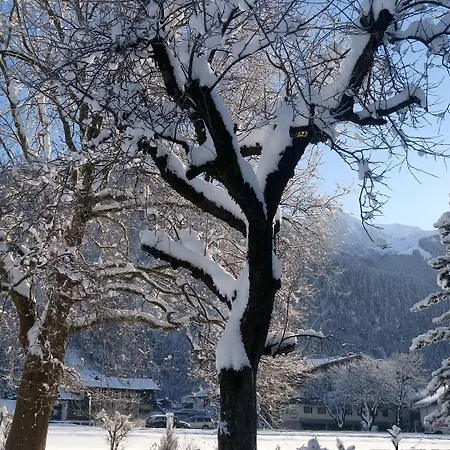 Garni Birkenhof Mayrhofen