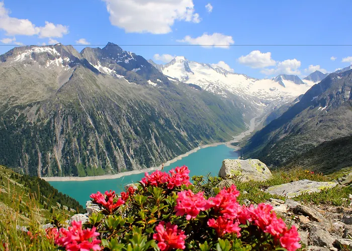 ホテル Garni Birkenhof マイヤーホーフェン