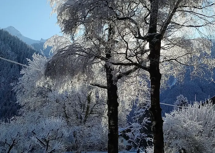 Garni Birkenhof ホテル 3*