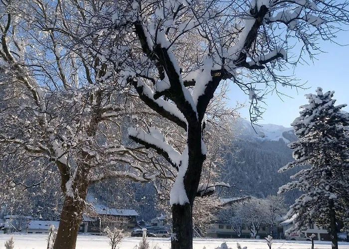 Garni Birkenhof マイヤーホーフェン